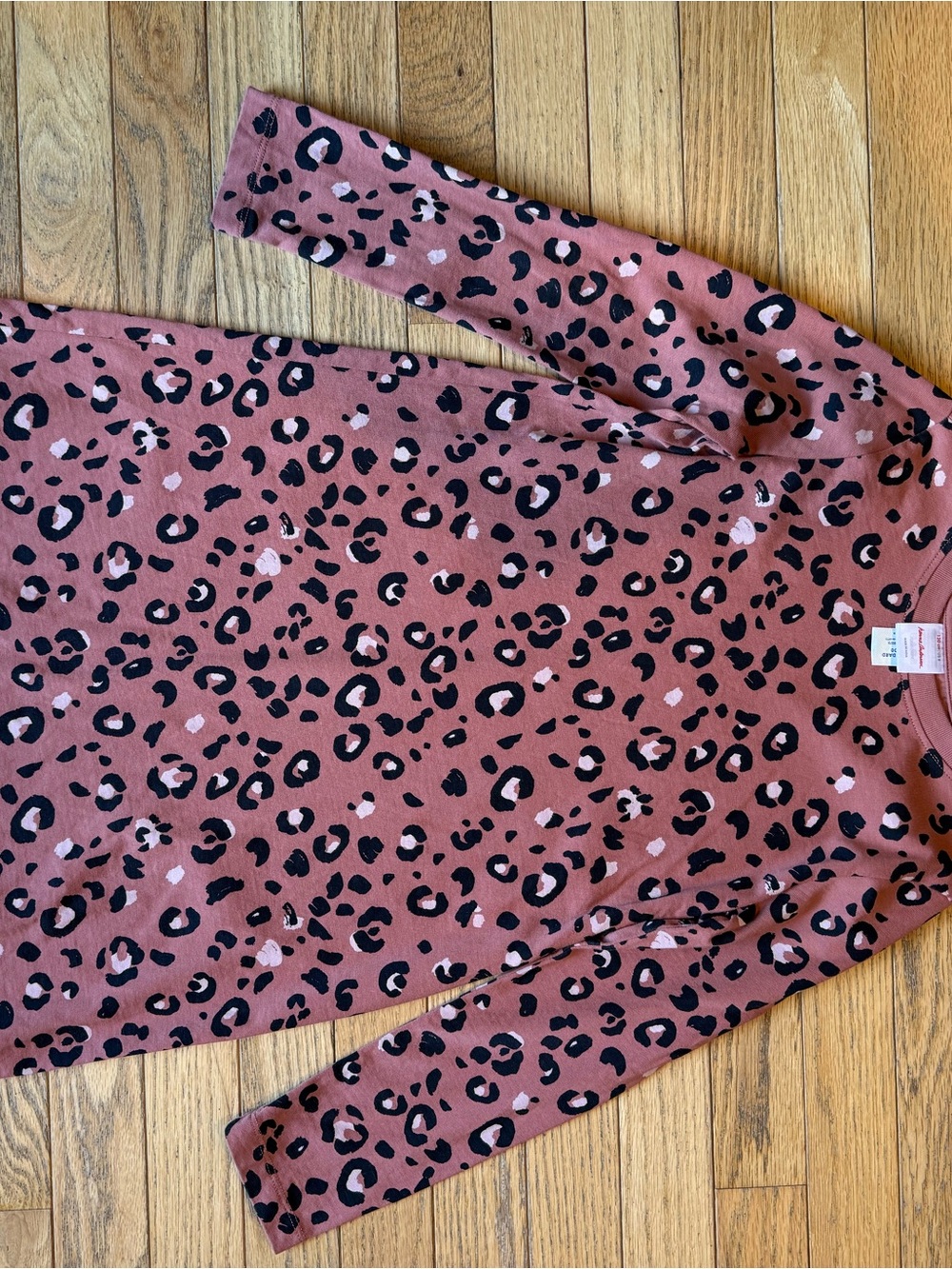 Hanna Andersson Leopard Print Long Sleeve Dress